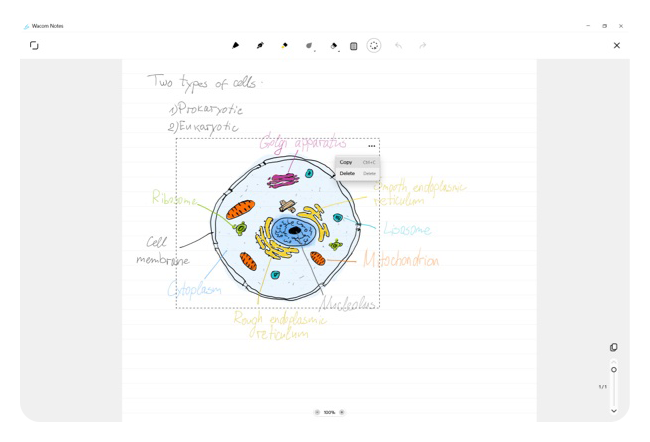 example of work within wacom notes, Wacom One Medium Graphics Tablet